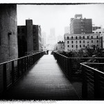 Fuji X100