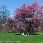 Leica M9 and 50 Summicron