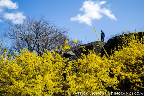 Leica-M-240-Central-Park