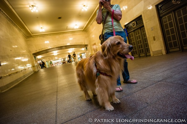 Leica M Typ 240 and 18mm Super Elmar Grand Central Station 1