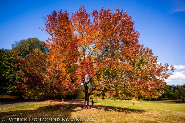 Leica-M-Typ-240-18mm-Super-Elmar-Prospect-Park-1