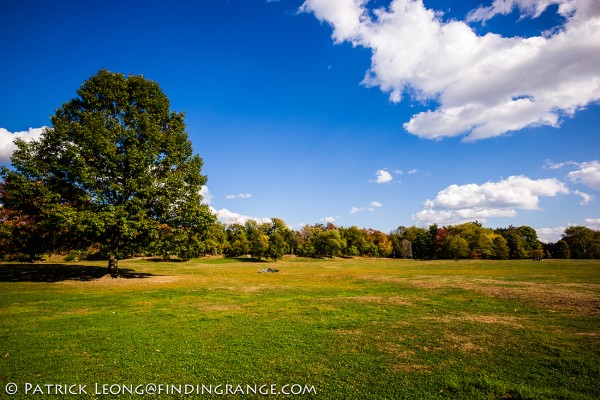 Leica-M-Typ-240-18mm-Super-Elmar-Prospect-Park-2