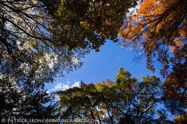 Leica-M-Typ-240-18mm-Super-Elmar-Prospect-Park-4