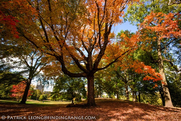 Leica-M-Typ-240-18mm-Super-Elmar-Prospect-Park-5