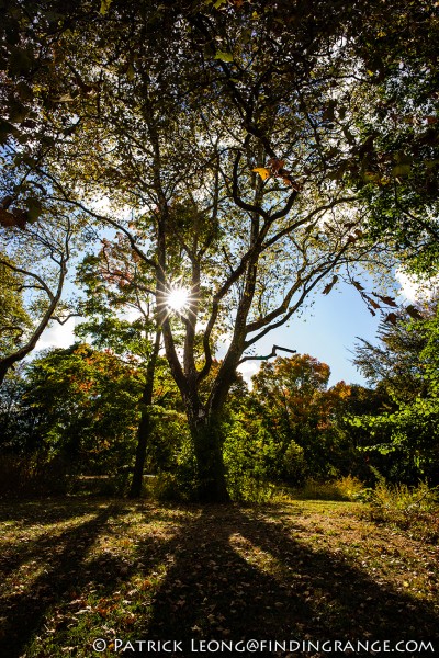 Leica-M-Typ-240-18mm-Super-Elmar-Prospect-Park-6