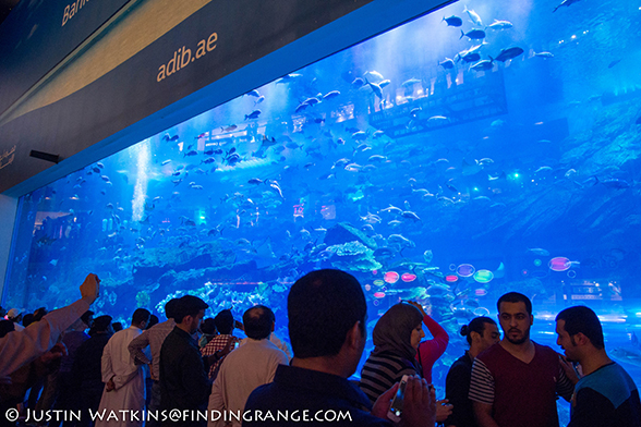 Dubai-Aquarium-Dubai-Mall-Olympus-OM-D-E-M5-12mm-F2.0