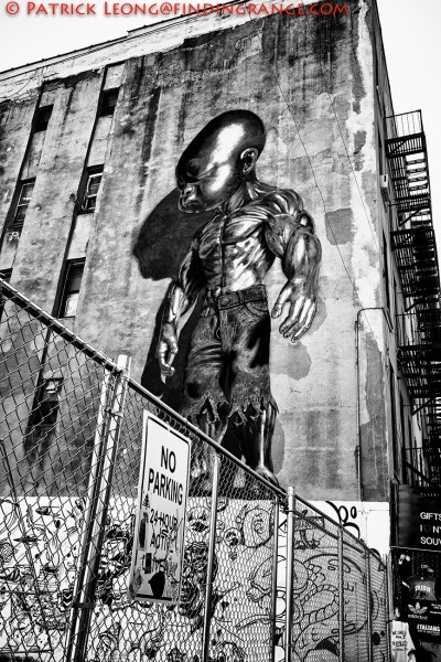 Fuji X-T1-XF-18-55mm-Graffit-Art-New-York-City-LARGE-3