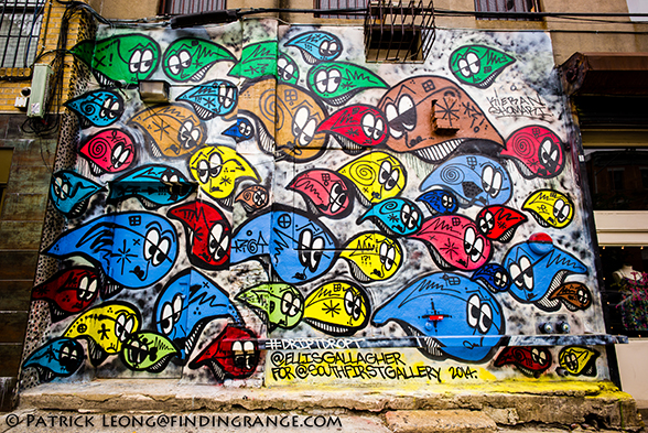 Leica-M-Typ-240-Street-Art-Graffiti-Williamsburg-Brooklyn