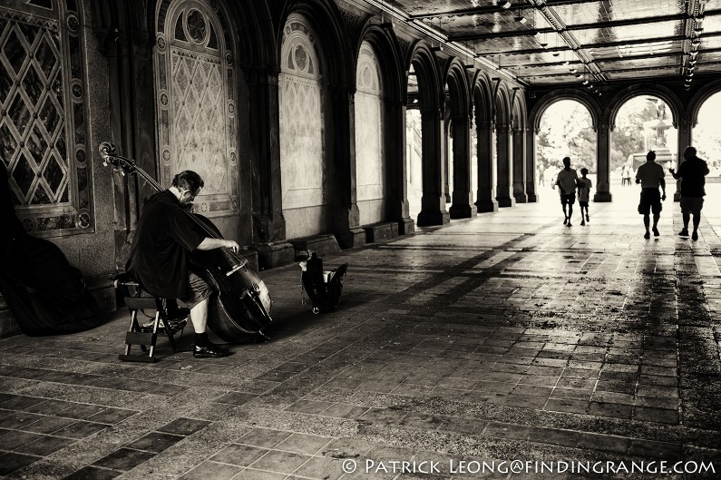 Leica-M9-35mm-Summicron-ASPH-Central-Park-Bethesda-Terrace-Cellist