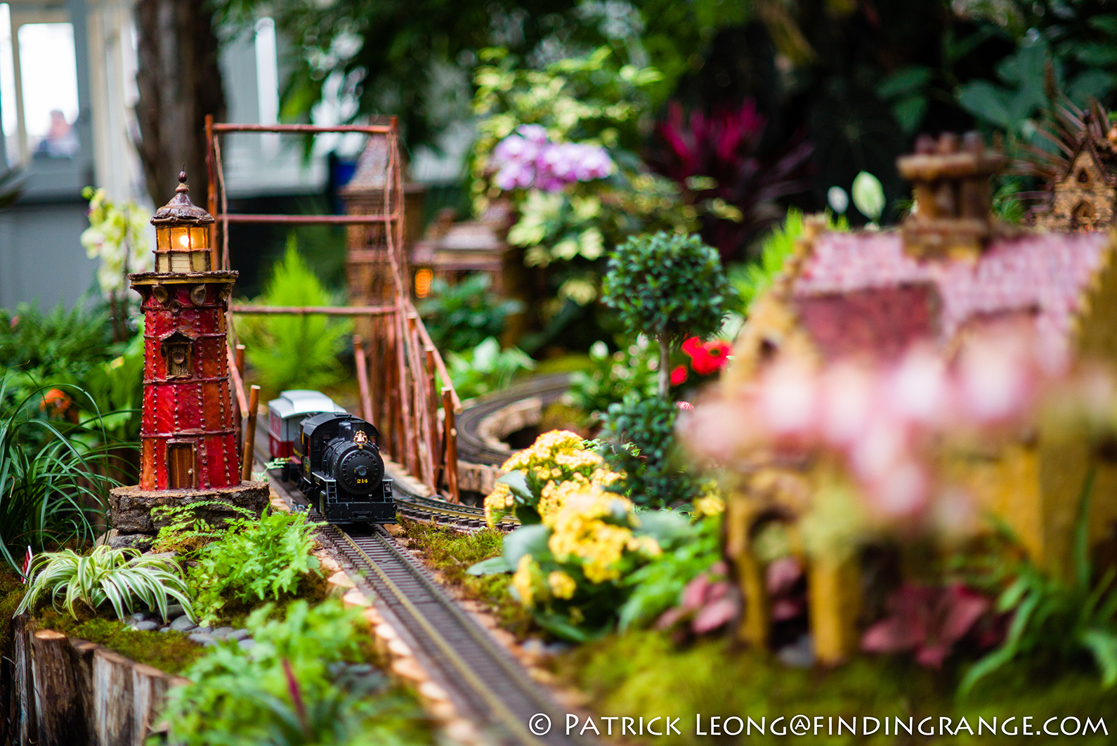 Train Show Botanical Garden Photos