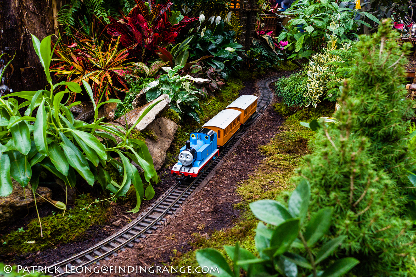 Leica X Typ 113 Pics From The Holiday Train Show