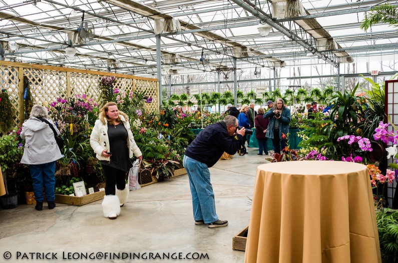 Deep-Cut-Orchid-Society-18th-Annual-Orchid-Show-Leica-X-Typ-113-2