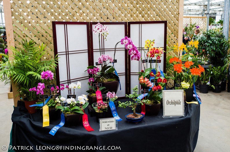 Deep-Cut-Orchid-Society-18th-Annual-Orchid-Show-Leica-X-Typ-113-3