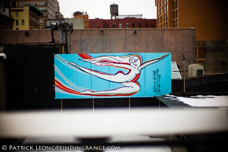High-Line-Chelsea-New-York-City-Leica-M-Typ-240-Noctilux-1