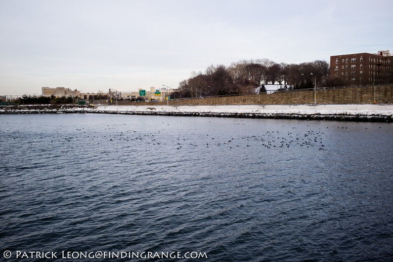 Leica-M-Typ-240-35mm-Summicron-ASPH-Ice-Harbor-New-York-City-3