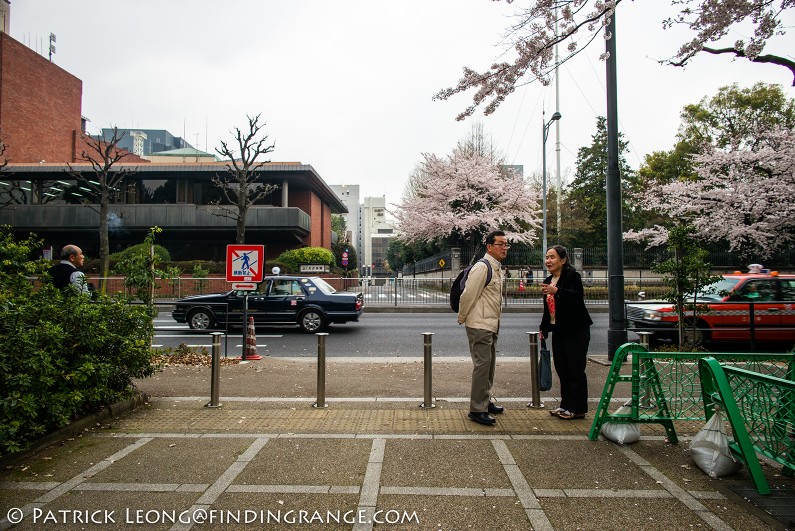 Leica-M-Typ-240-21mm-Summilux-ASPH-Cherry-Blossom-Kitanomaru-Park-Chiyoda-Tokyo-Japan-1