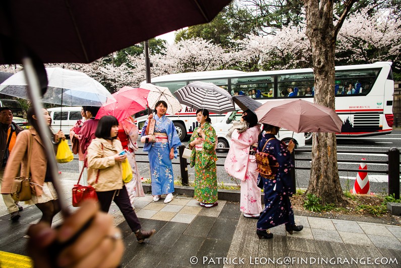 Leica-M-Typ-240-21mm-Summilux-ASPH-Cherry-Blossom-Kitanomaru-Park-Chiyoda-Tokyo-Japan-3