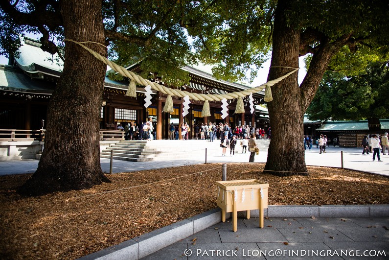 Leica-M-Typ-240-21mm-Summilux-ASPH-Meiji-Shrine-Harajuku-Tokyo-Japan-7