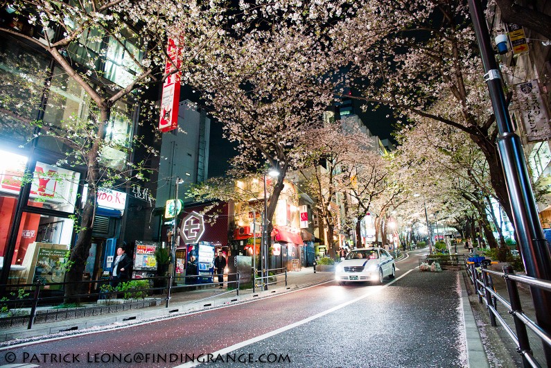Leica-M-Typ-240-21mm-Summilux-ASPH-Shibuya-Tokyo-Japan-Street-Candid-Cherry-Blossoms