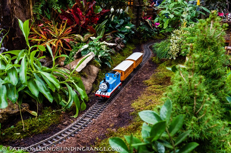 Leica-X-Typ-113-Holiday-Train-Show-Botanical-Garden-NY-2