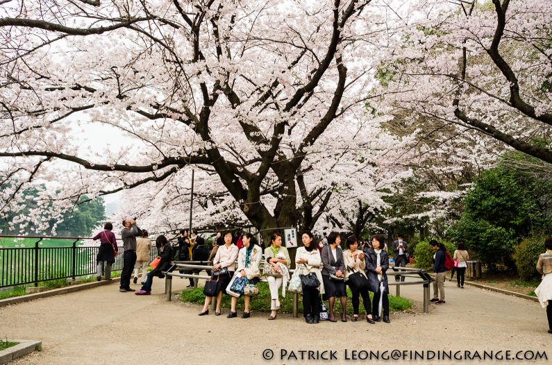 Leica-X-Typ-113-Kitanomaru-Park-Chiyoda-Tokyo-Japan