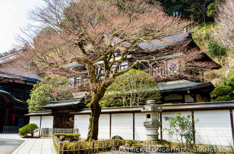 Leica-X-Typ-113-Mount-Takao-Japan