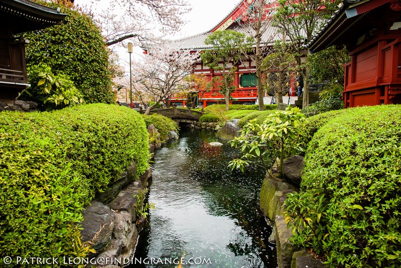 Leica-M-Typ-240-21mm-Summilux-ASPH-Sensoji-Temple-Asakusa-Tokyo-Japan-12