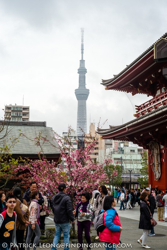 Leica-M-Typ-240-21mm-Summilux-ASPH-Sensoji-Temple-Asakusa-Tokyo-Japan-13