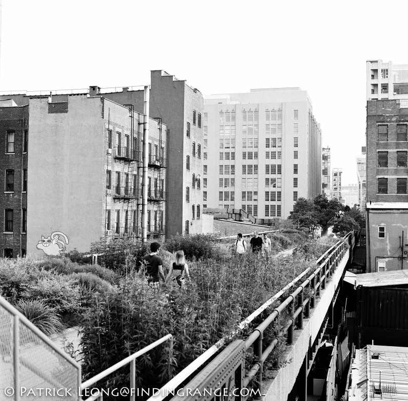 Hasselblad-503cw-Millennium-80mm-Planar-New-York-City-Chelsea-High-Line-2