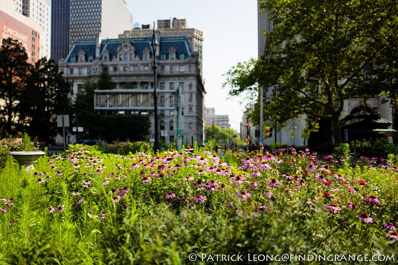 Leica-Q-Typ-116-New-York-City-Brooklyn-Bridge-1