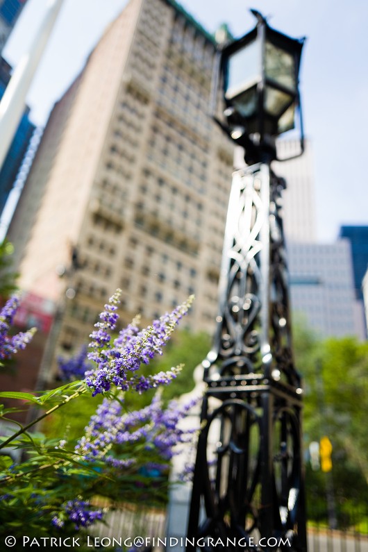 Leica-Q-Typ-116-New-York-City-City-Hall-3