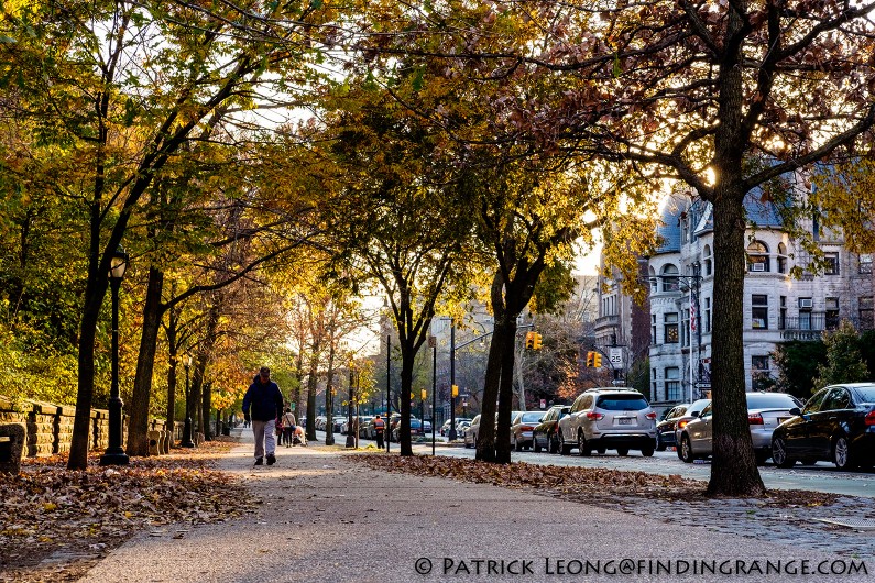 Fuji-X-T1-XF-35mm-F2-R-WR-Lens-Prospect-Park-Park-Slope-Brooklyn-NYC-2