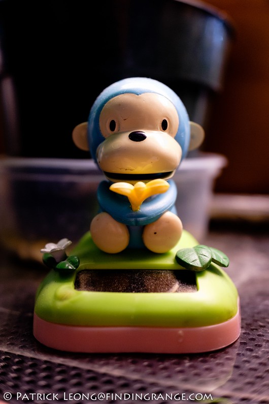 Fuji-X70-Toy-Monkey-Macro