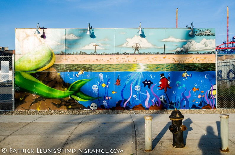 Leica-X-Typ-113-Coney-Island-Coney-Art-Walls-2