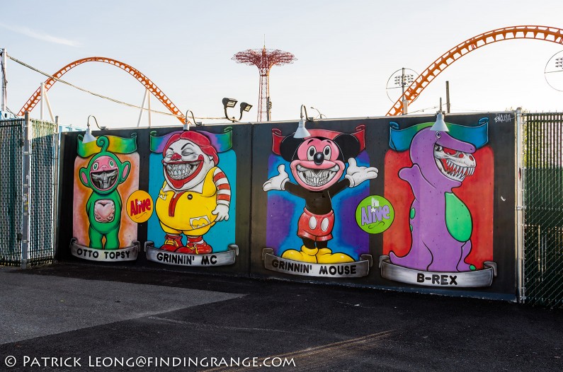 Leica-X-Typ-113-Coney-Island-Coney-Art-Walls-3