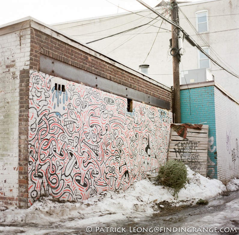 Hasselblad-503CW-Millennium-80mm-Planar-Street-Art-Jersey-City-1