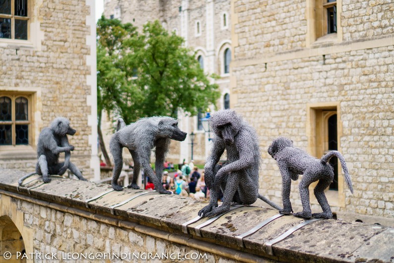 Sony-E-35mm-f1.8-OSS-Lens-Review-a6300-London-England-Tower-of-London-Monkey
