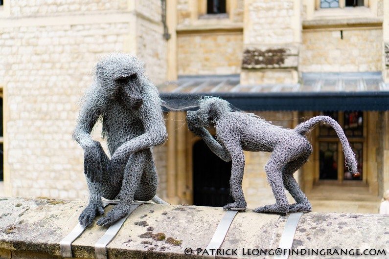 Sony-a6300-E-10-18mm-f4-OSS-Lens-Tower-of-London-Monkey-England