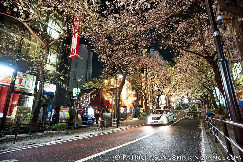 Leica-M-240-21mm-Summilux-M-f1.4-ASPH-Cherry-Blossom-Tokyo-Japan