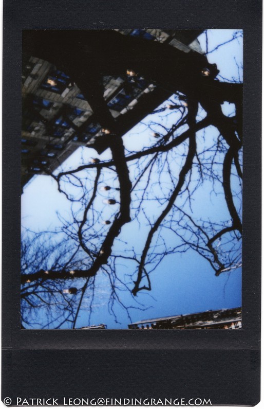 Leica-Sofort-Scan-Picture-Tree-NYC