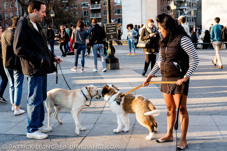 Fuji-X100F-TLC-X100-II-Washington-Square-Park-Street-Photography-Candid-3