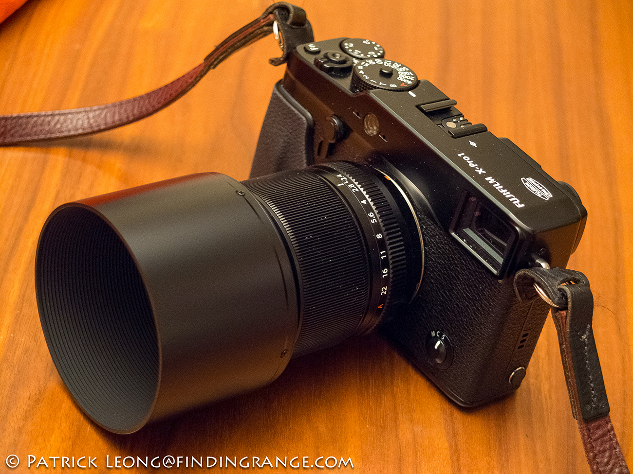 Inzichtelijk tegenkomen puppy First Shots With The XF 60mm F2.4 R Macro Lens And The Fuji X-Pro1